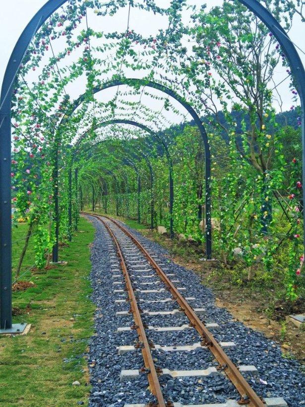 《河洛群侠传》铁砂掌残页位置介绍